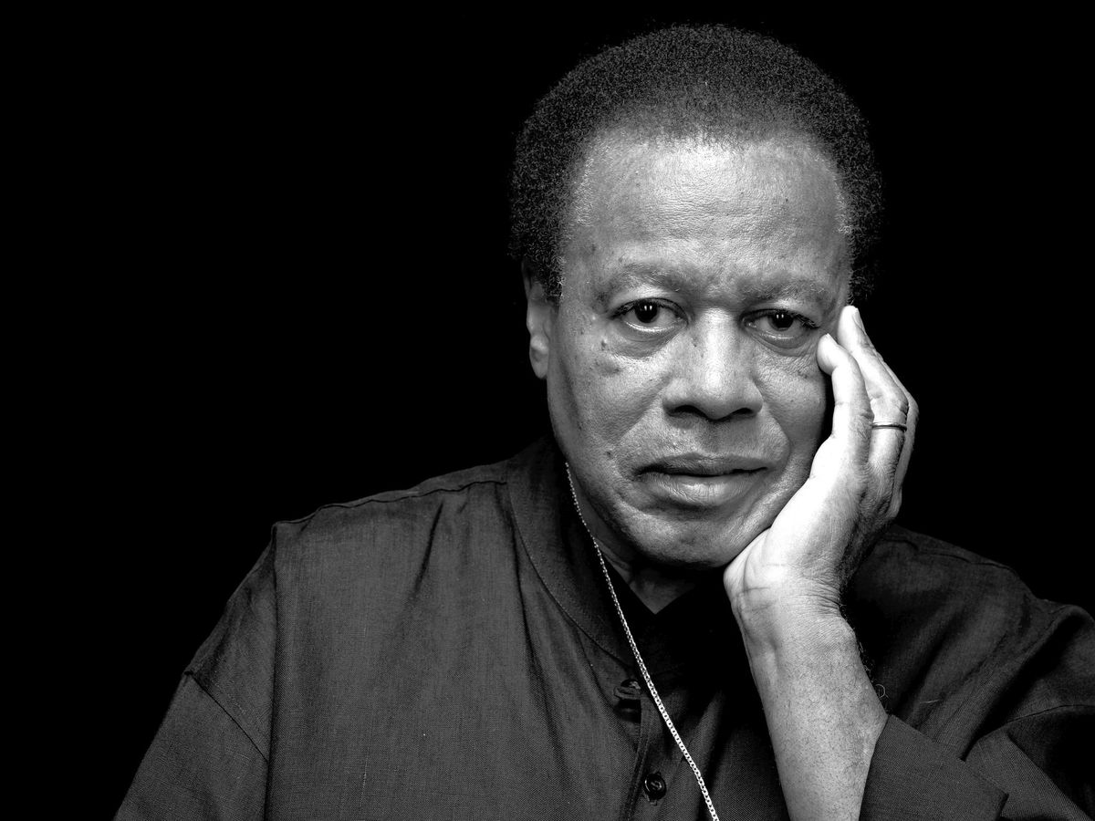 Wayne Shorter's Advice | jazz drumming inspiration | on jazz drumming